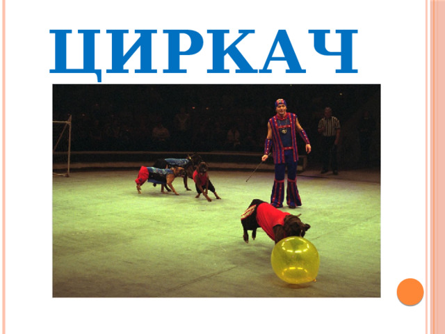 циркач 