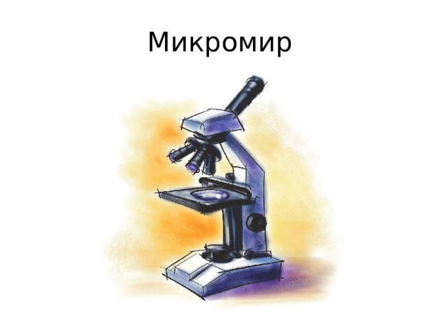 Микромир 
