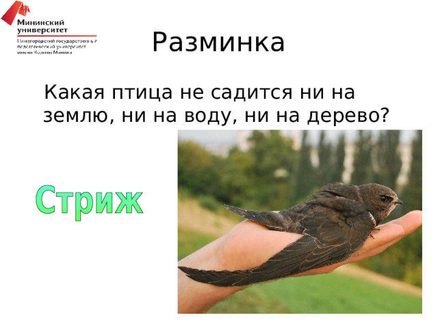 Разминка Какая птица не садится ни на землю, ни на воду, ни на дерево? 