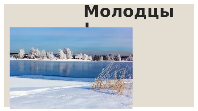 Молодцы! 