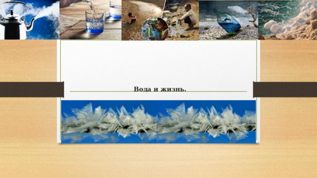      Вода и жизнь.   