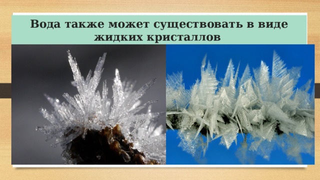 Вода также может существовать в виде жидких кристаллов   