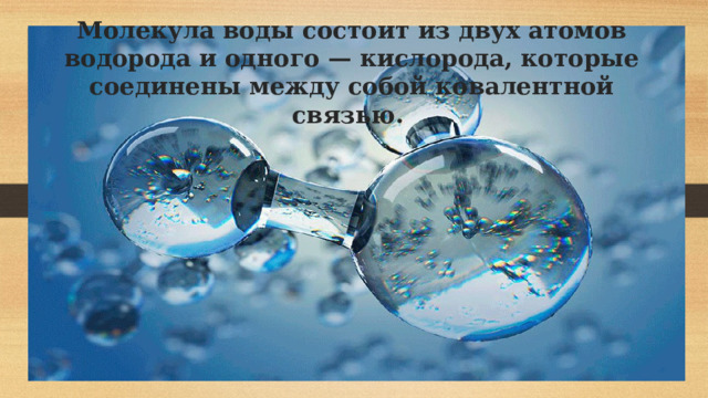 Молекула воды состоит из двух атомов водорода и одного — кислорода, которые соединены между собой ковалентной связью.    