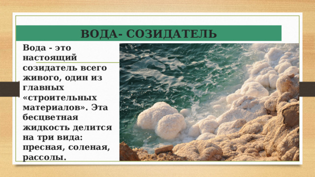 ВОДА- СОЗИДАТЕЛЬ Вода - это настоящий созидатель всего живого, один из главных «строительных материалов». Эта бесцветная жидкость делится на три вида: пресная, соленая, рассолы.  