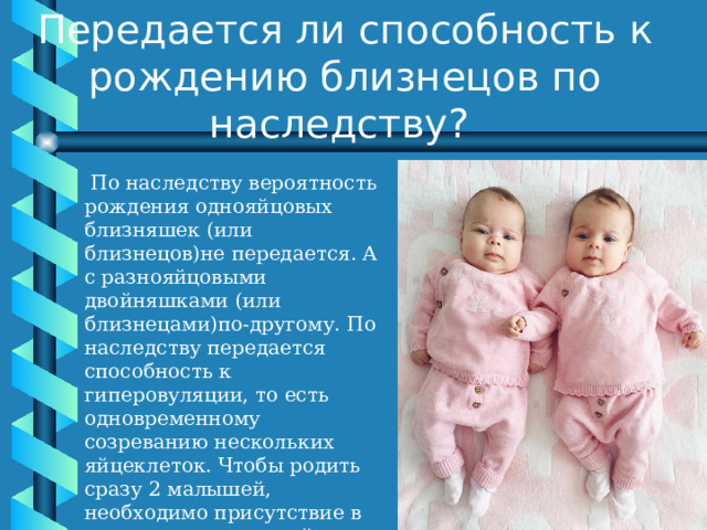 Передается ли способность к рождению близнецов по наследству?  По наследству вероятность рождения однояйцовых близняшек (или близнецов)не передается. А с разнояйцовыми двойняшками (или близнецами)по-другому. По наследству передается способность к гиперовуляции, то есть одновременному созреванию нескольких яйцеклеток. Чтобы родить сразу 2 малышей, необходимо присутствие в роду у женщины двойни. Согласно многим исследованиям, 