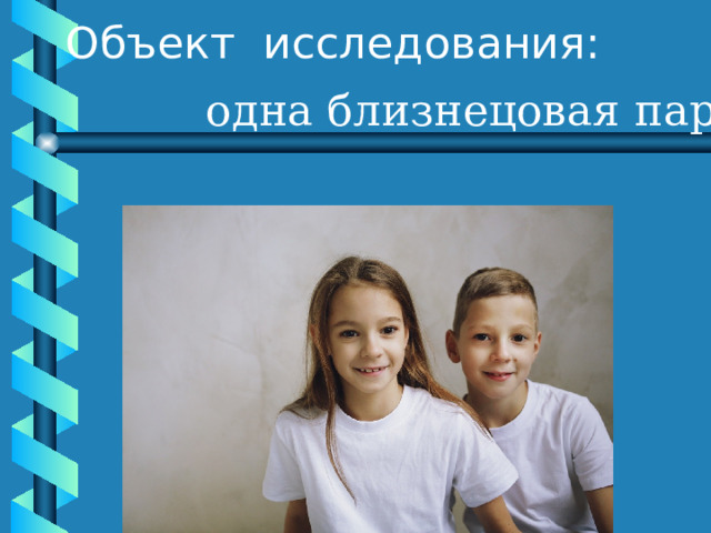 Объект исследования: одна близнецовая пара 