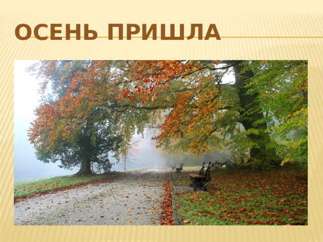 Осень пришла 