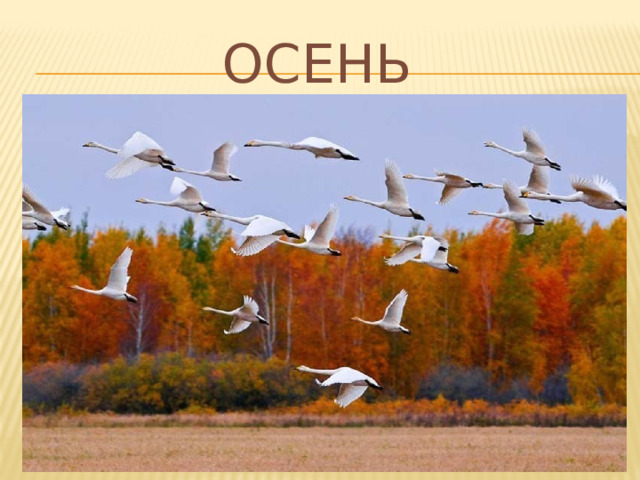 Осень 