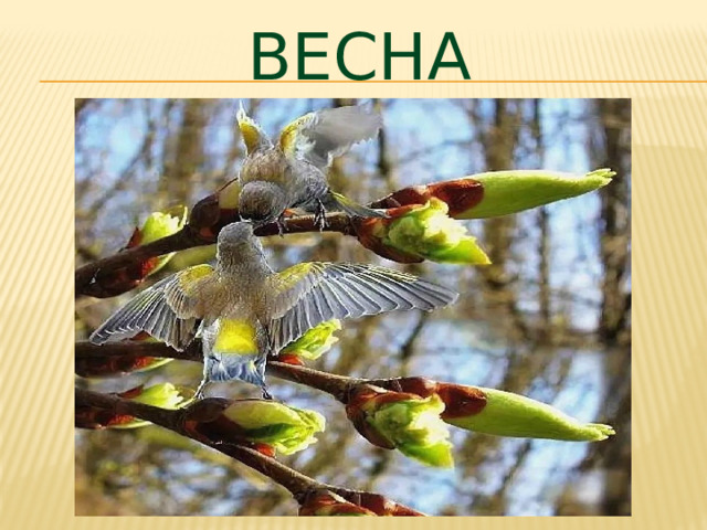 весна 