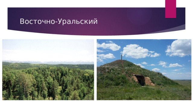 Восточно-Уральский 