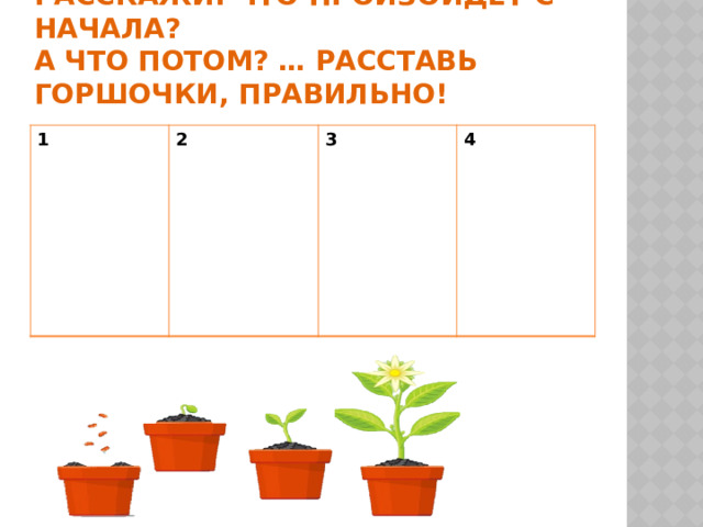   расскажи: что произойдёт с начала?  а что потом? … Расставь горшочки, правильно! 1 2   3  4       
