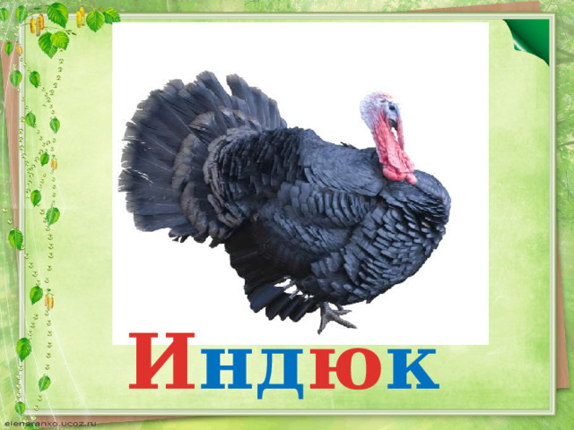 И нд ю к 