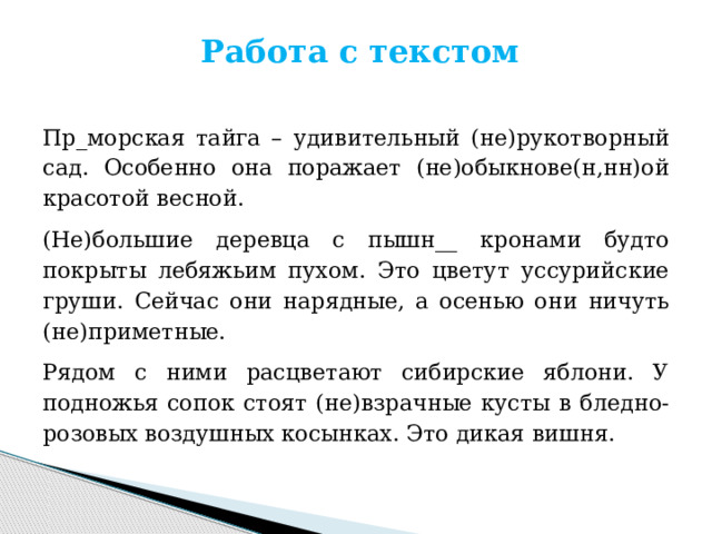 Работа с текстом   Пр_морская тайга – удивительный (не)рукотворный сад. Особенно она поражает (не)обыкнове(н,нн)ой красотой весной. (Не)большие деревца с пышн__ кронами будто покрыты лебяжьим пухом. Это цветут уссурийские груши. Сейчас они нарядные, а осенью они ничуть (не)приметные. Рядом с ними расцветают сибирские яблони. У подножья сопок стоят (не)взрачные кусты в бледно-розовых воздушных косынках. Это дикая вишня. 