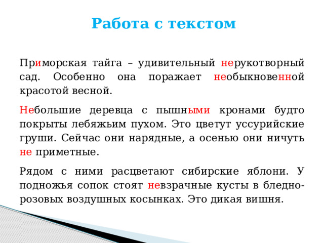 Работа с текстом   Пр и морская тайга – удивительный не рукотворный сад. Особенно она поражает не обыкнове нн ой красотой весной. Не большие деревца с пышн ыми кронами будто покрыты лебяжьим пухом. Это цветут уссурийские груши. Сейчас они нарядные, а осенью они ничуть не приметные. Рядом с ними расцветают сибирские яблони. У подножья сопок стоят не взрачные кусты в бледно-розовых воздушных косынках. Это дикая вишня. 