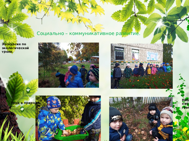 Социально – коммуникативное развитие. Экскурсия по экологической тропе.  Наблюдение за грибами Труд в природе. 
