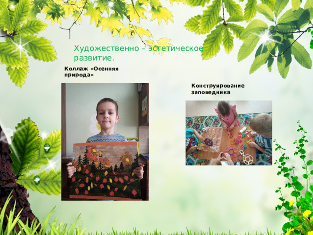 Художественно – эстетическое развитие. Коллаж «Осенняя природа» Конструирование заповедника 