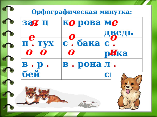 Орфографическая минутка:  е я о за . ц к . рова п . тух в . р . бей с . бака м . дведь с . рока в . рона л . сица о е о о  о о и  