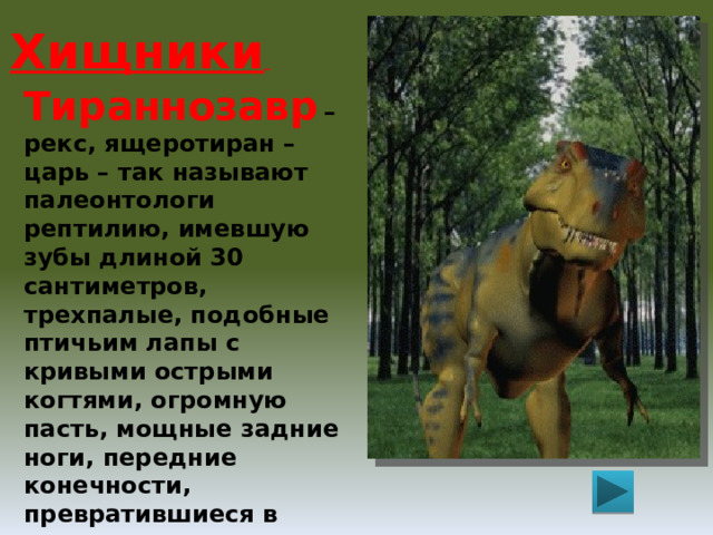 Хищники  Тираннозавр  – рекс, ящеротиран – царь – так называют палеонтологи рептилию, имевшую зубы длиной 30 сантиметров, трехпалые, подобные птичьим лапы с кривыми острыми когтями, огромную пасть, мощные задние ноги, передние конечности, превратившиеся в крохотные двупалые лапки. 14 метров в длину и около шести в высоту при мозге массой 0,5 килограмма, то есть как у новорожденного человека! 