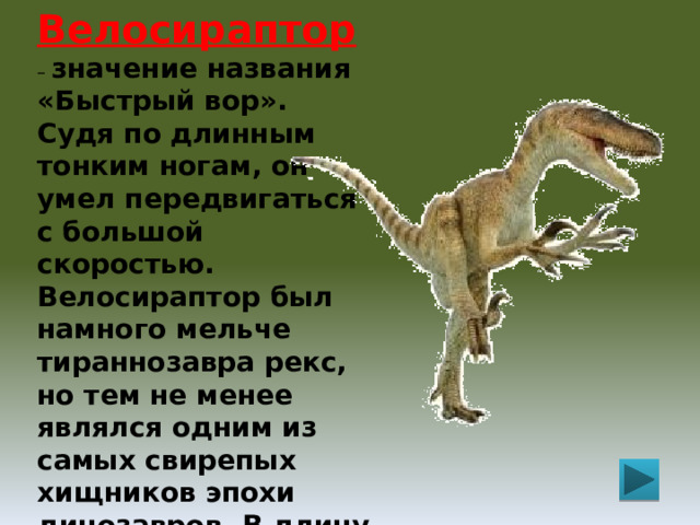 Велосираптор – значение названия «Быстрый вор». Судя по длинным тонким ногам, он умел передвигаться с большой скоростью. Велосираптор был намного мельче тираннозавра рекс, но тем не менее являлся одним из самых свирепых хищников эпохи динозавров. В длину он был 2 метра, а весил 15 кг. Его оружие – скорость и коготь на ногах. 