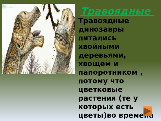Травоядные Травоядные динозавры питались хвойными деревьями, хвощем и папоротником , потому что цветковые растения (те у которых есть цветы)во времена динозавров еще не существовали. Обычно травоядные динозавры держались стадами.  