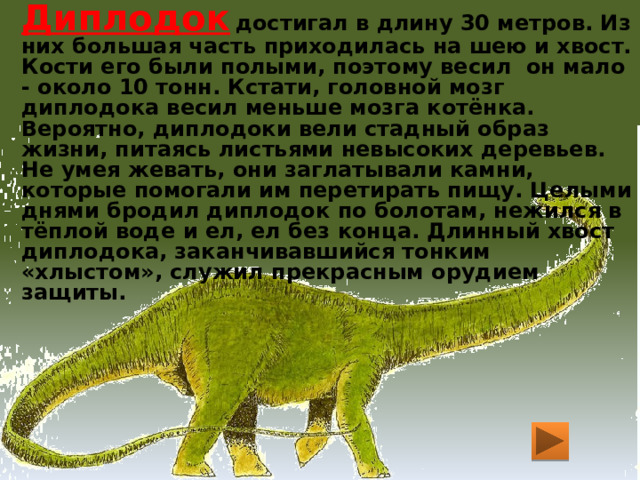 Диплодок  достигал в длину 30 метров. Из них большая часть приходилась на шею и хвост. Кости его были полыми, поэтому весил  он мало - около 10 тонн. Кстати, головной мозг диплодока весил меньше мозга котёнка. Вероятно, диплодоки вели стадный образ жизни, питаясь листьями невысоких деревьев. Не умея жевать, они заглатывали камни, которые помогали им перетирать пищу. Целыми днями бродил диплодок по болотам, нежился в тёплой воде и ел, ел без конца. Длинный хвост диплодока, заканчивавшийся тонким «хлыстом», служил прекрасным орудием защиты. 