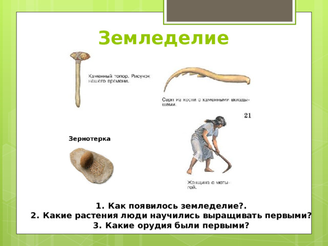 Земледелие Как появилось земледелие?. Какие растения люди научились выращивать первыми? Какие орудия были первыми? 