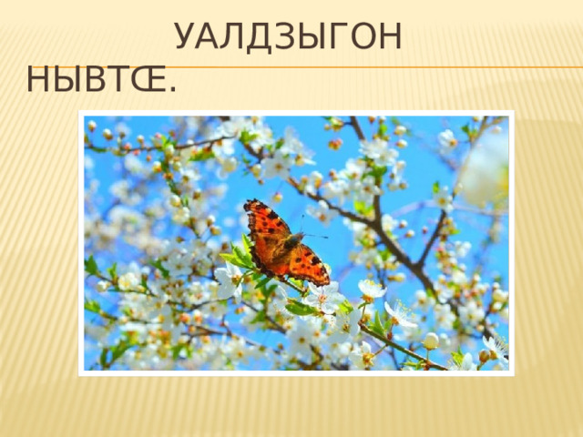  Уалдзыгон нывтœ. 