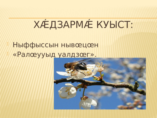  Хǽдзармǽ куыст: Ныффыссын нывœцœн «Ралœууыд уалдзœг». 