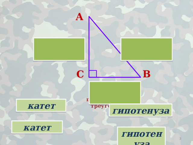 гипотенуза А   В С  прямоугольный треугольник катет катет гипотенуза  