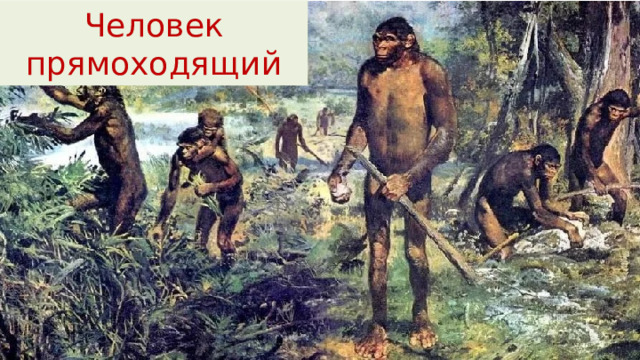 Человек прямоходящий 