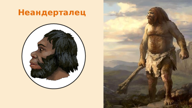 Неандерталец   