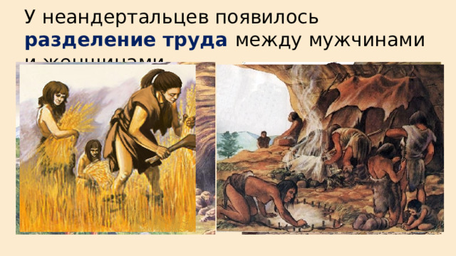 У неандертальцев появилось разделение труда между мужчинами и женщинами. 