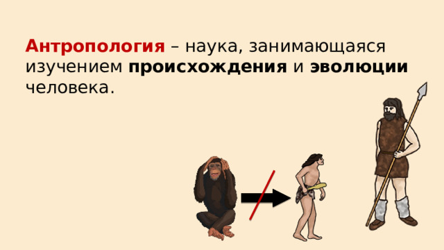Антропология – наука, занимающаяся изучением происхождения и эволюции человека. 