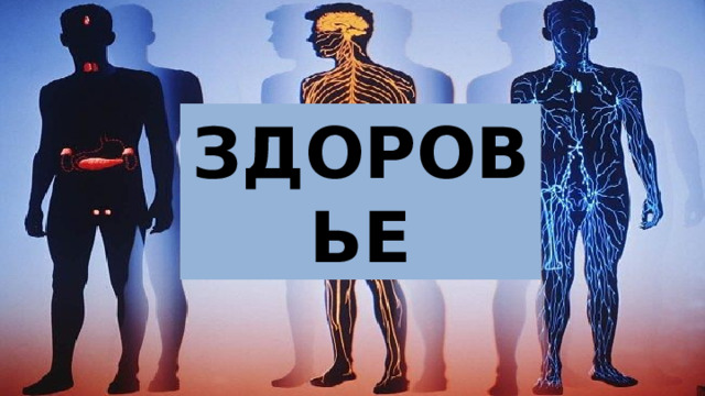 ЗДОРОВЬЕ 