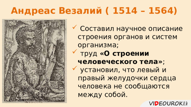 Андреас Везалий ( 1514 – 1564)  Составил научное описание строения органов и систем организма;  труд «О строении человеческого тела» ;  установил, что левый и правый желудочки сердца человека не сообщаются между собой. 