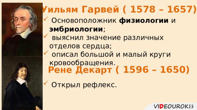 Уильям Гарвей ( 1578 – 1657)  Основоположник физиологии и эмбриологии ;  выяснил значение различных отделов сердца;  описал большой и малый круги кровообращения. Рене Декарт ( 1596 – 1650)  Открыл рефлекс. 