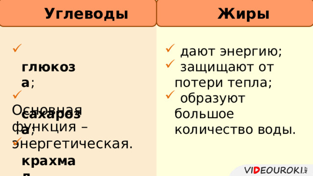 Углеводы         Жиры  глюкоза ;  сахароза ;  крахмал .  дают энергию;  защищают от потери тепла;  образуют большое количество воды. Основная функция – энергетическая. 