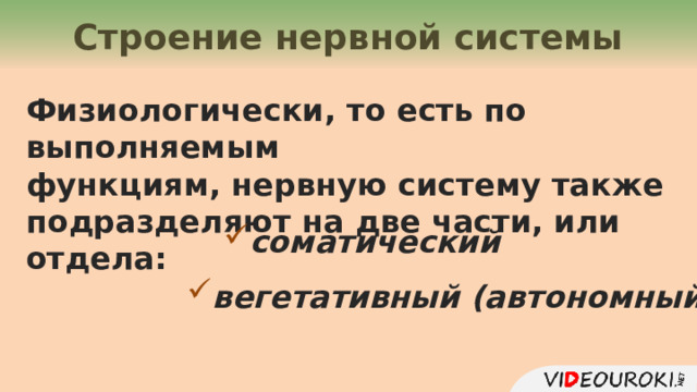 Строение нервной системы Физиологически, то есть по выполняемым функциям, нервную систему также подразделяют на две части, или отдела: соматический вегетативный (автономный)  