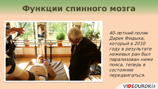 Функции спинного мозга 40-летний поляк  Дарек Фидыка, который в 2010 году в результате ножевых ран был парализован ниже пояса, теперь в состоянии передвигаться. 11 