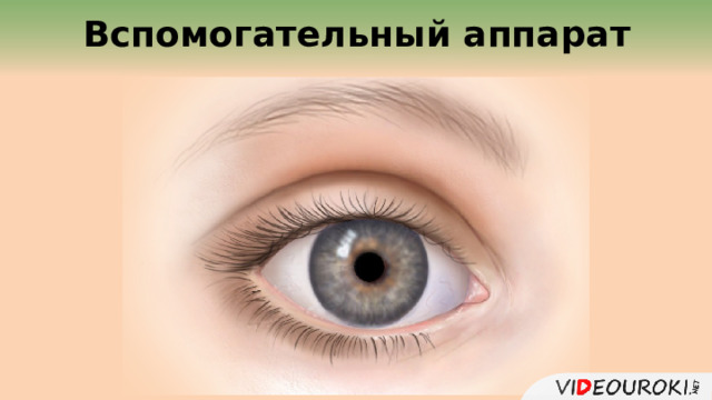  Вспомогательный аппарат  
