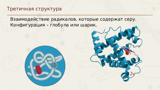 Третичная структура Взаимодействие радикалов, которые содержат серу. Конфигурация – глобула или шарик. Пункты можно выделять цифрами 8 