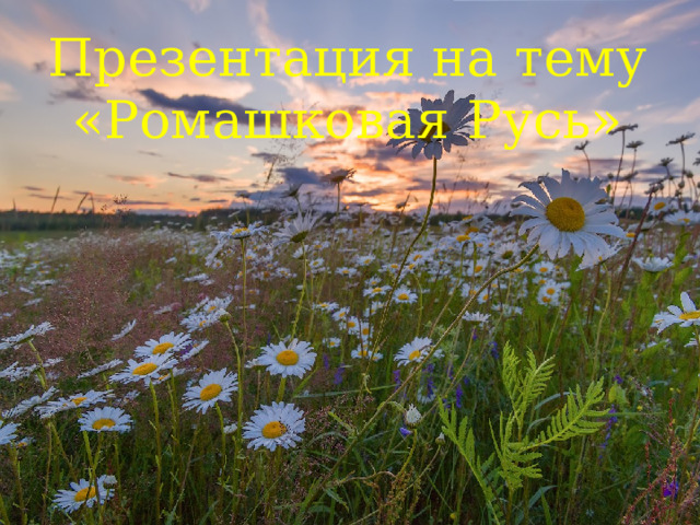Презентация на тему «Ромашковая Русь» 