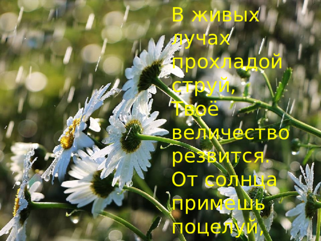 В живых лучах прохладой струй,  Твоё величество резвится.  От солнца примешь поцелуй,  От неба - дождика частицу.   
