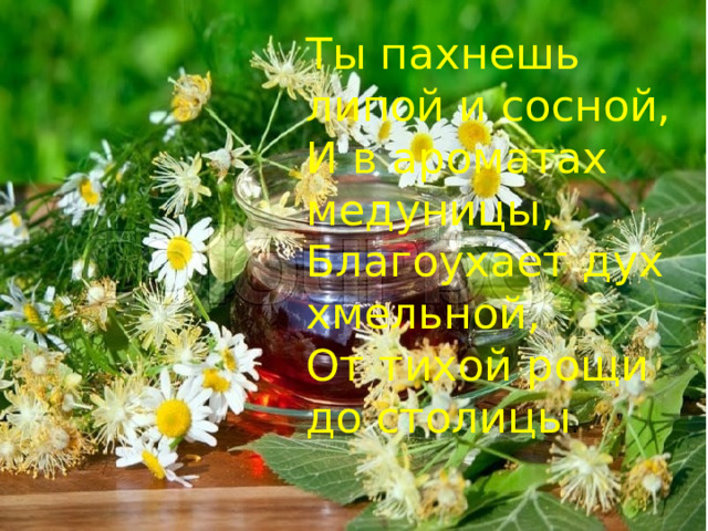 Ты пахнешь липой и сосной,  И в ароматах медуницы,  Благоухает дух хмельной,  От тихой рощи до столицы . 