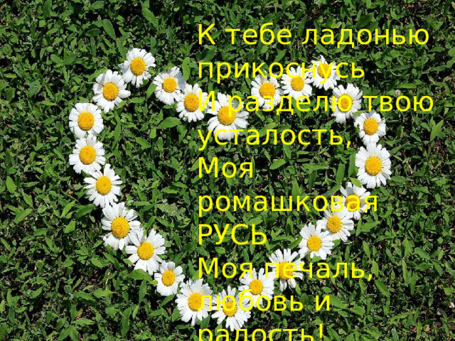 К тебе ладонью прикоснусь  И разделю твою усталость,  Моя ромашковая РУСЬ  Моя печаль, любовь и радость! 
