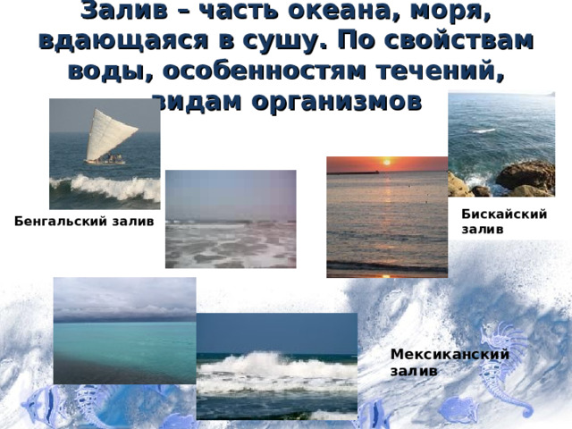 Залив – часть океана, моря, вдающаяся в сушу. По свойствам воды, особенностям течений, видам организмов Бискайский залив Бенгальский залив Мексиканский залив 7 