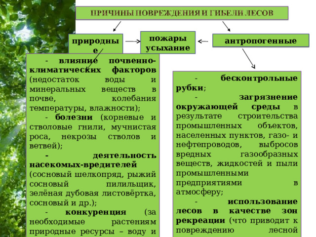 пожары усыхание природные антропогенные - влияние почвенно-климатических факторов (недостаток воды и минеральных веществ в почве, колебания температуры, влажности); - болезни (корневые и стволовые гнили, мучнистая роса, некрозы стволов и ветвей); - деятельность насекомых-вредителей (сосновый шелкопряд, рыжий сосновый пилильщик, зелёная дубовая листовёртка, сосновый и др.); - конкуренция (за необходимые растениям природные ресурсы – воду и минеральные вещества, солнечный свет). - бесконтрольные рубки ; - загрязнение окружающей среды в результате строительства промышленных объектов, населенных пунктов, газо- и нефтепроводов, выбросов вредных газообразных веществ, жидкостей и пыли промышленными предприятиями в атмосферу; - использование лесов в качестве зон рекреации (что приводит к повреждению лесной растительности, нарушению возобновления лесообразующих пород, напочвенного покрова). 