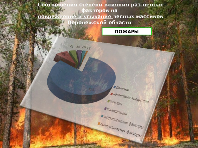 Соотношения степени влияния различных факторов на повреждение и усыхание лесных массивов Воронежской области ПОЖАРЫ 