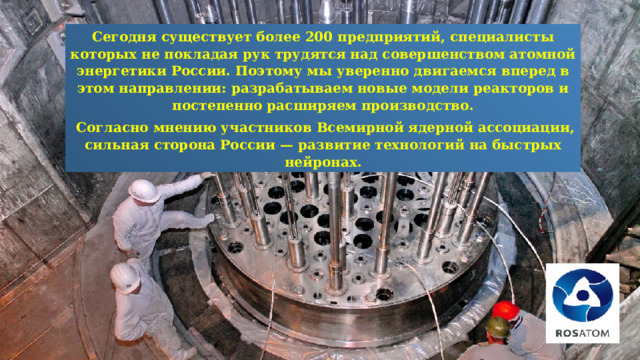 Сегодня существует более 200 предприятий, специалисты которых не покладая рук трудятся над совершенством атомной энергетики России. Поэтому мы уверенно двигаемся вперед в этом направлении: разрабатываем новые модели реакторов и постепенно расширяем производство.  Согласно мнению участников Всемирной ядерной ассоциации, сильная сторона России — развитие технологий на быстрых нейронах. 