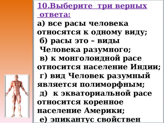 10.Выберите  три верных  ответа: а) все расы человека относятся к одному виду;   б) расы это – виды  Человека разумного;   в) к монголоидной расе относится население Индии;   г) вид Человек разумный является полиморфным;   д)  к экваториальной расе относится коренное население Америки;   е) эпикантус свойствен представителям монголоидной расы. 